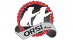 Orsi